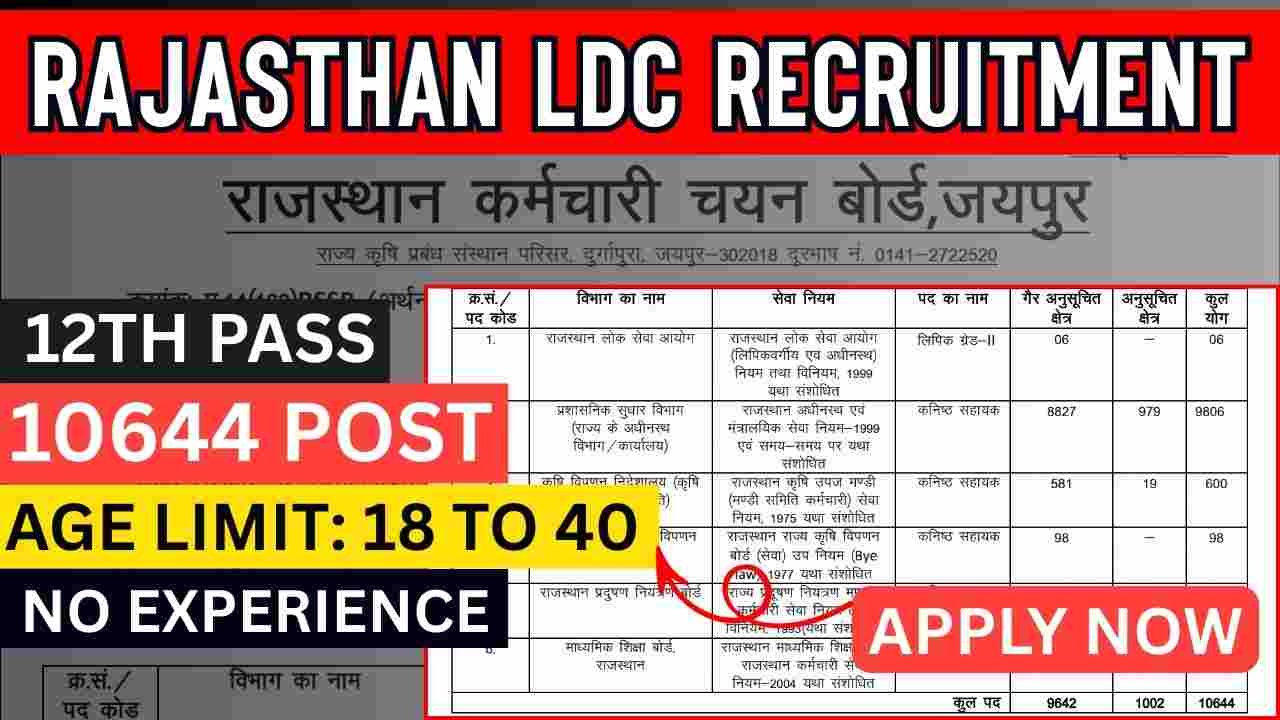 Rajasthan LDC Recruitment 2026
